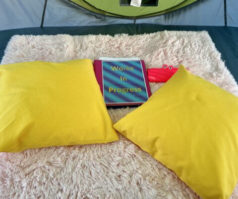Image of two yellow, square pillows surrounding a pink notebook hot pink pencil case with a monster face.